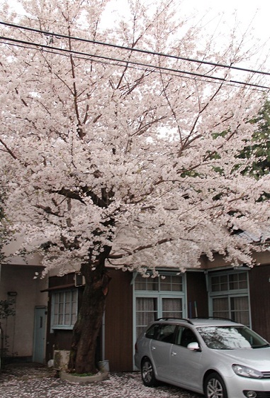 c0221732_2356363.jpg