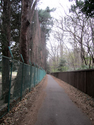 f0038336_963328.jpg