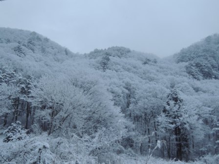 雪の日のサイクリング(2)_b0206037_9105562.jpg