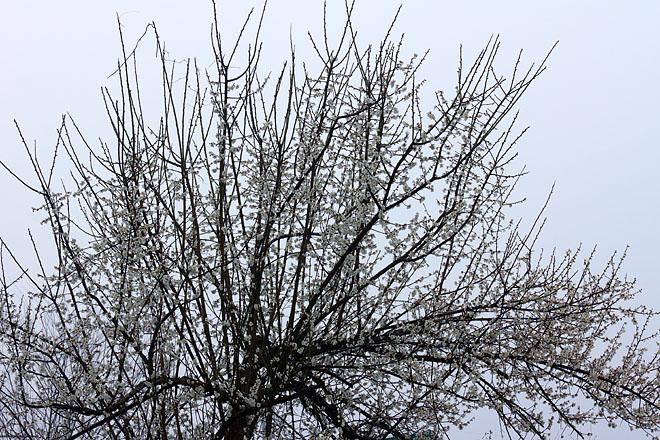 c0067040_21281733.jpg