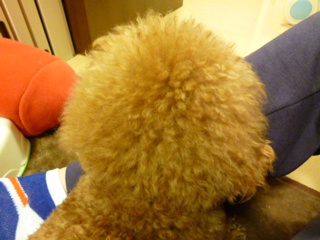 d0170140_02752.jpg