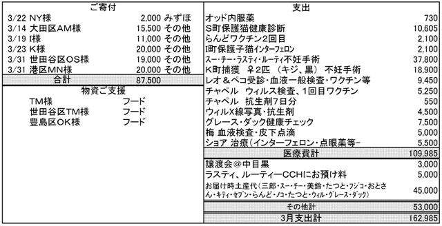 2011年3月の活動・収支報告_e0316841_16411389.jpg