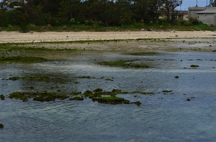 b0288942_22503876.jpg