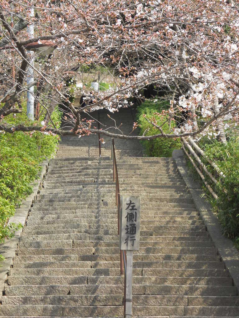 e0300042_16175339.jpg