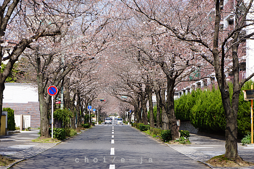 c0243343_12454198.png