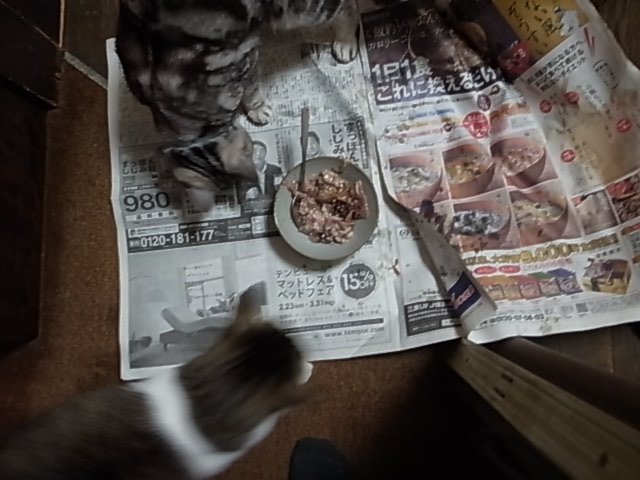 マグロカシラ 兜丸焼き 準備っ!&食後感想_d0067943_1924824.jpg