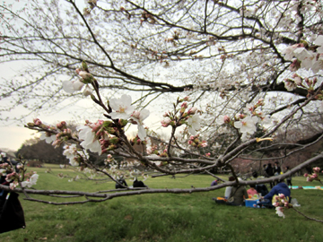 b0024345_21341471.jpg