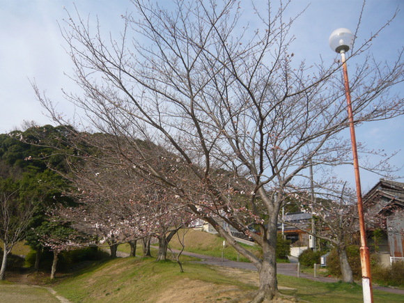 e0206847_92588.jpg