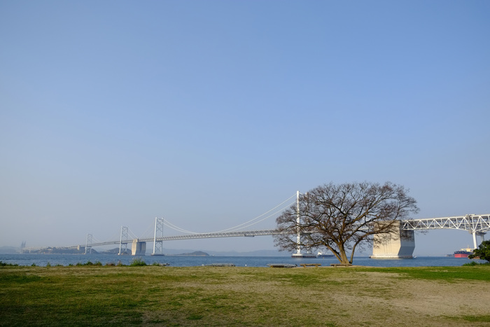 瀬戸内国際芸術祭　沙弥島_b0161248_1443990.jpg