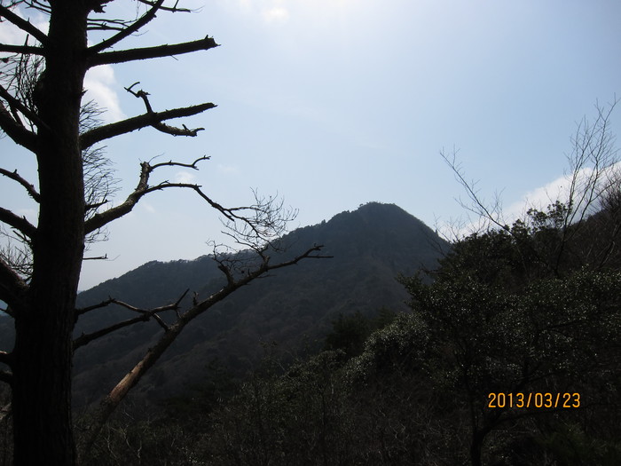 b0148050_20471364.jpg