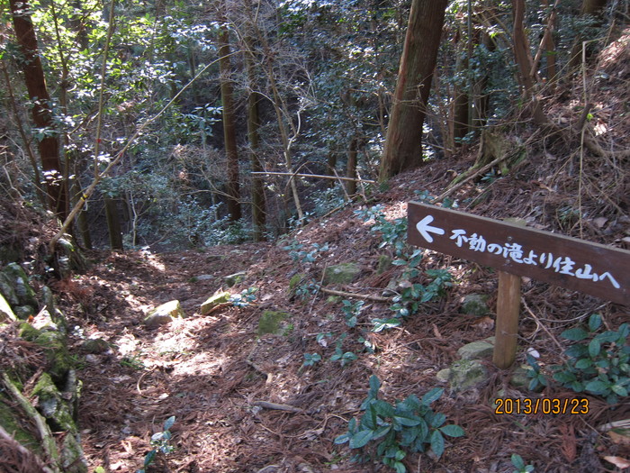 b0148050_21255393.jpg
