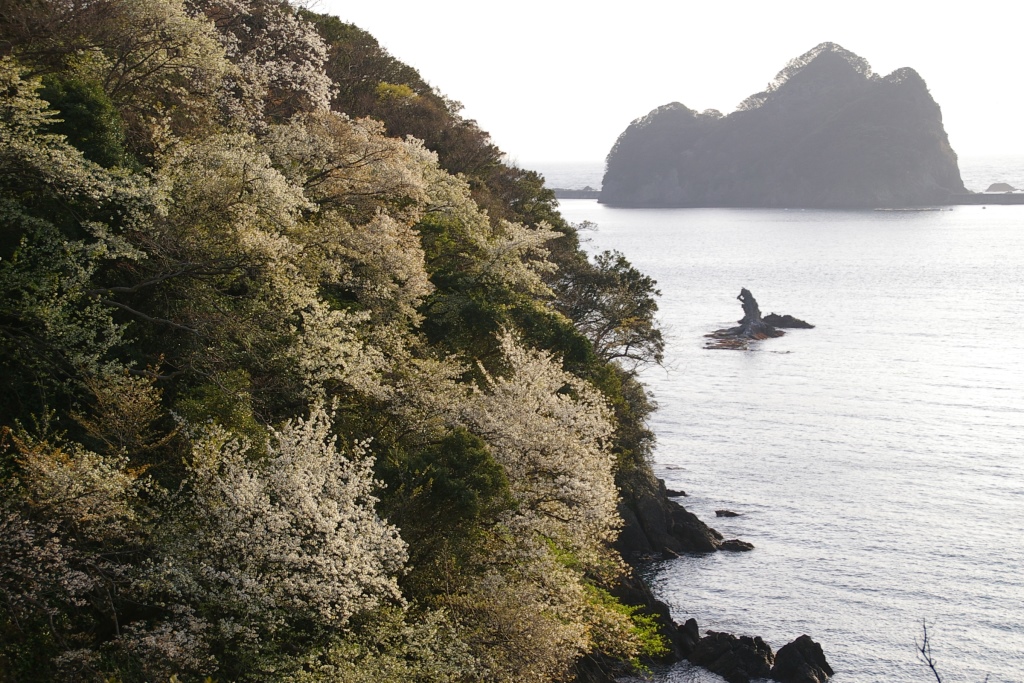 西伊豆の岩礁_f0043750_7959.jpg