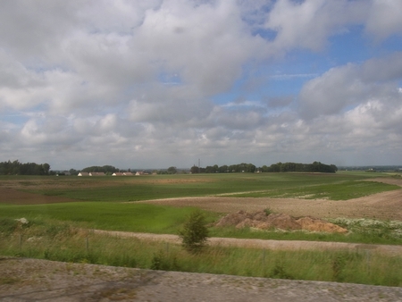 a0036755_2333281.jpg