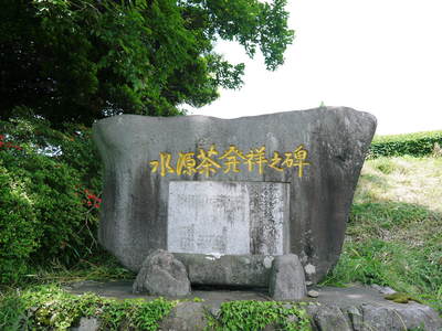 菊池水源茶 選定作業終了後にお話をうかがいました_a0254656_17271569.jpg