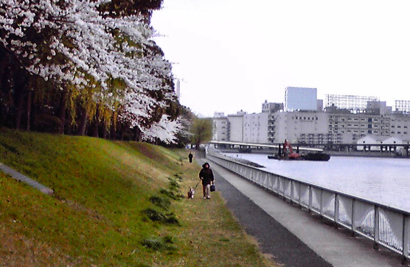 c0050857_14153973.jpg