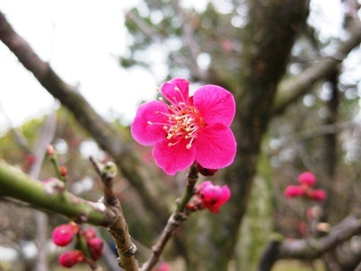 c0190960_955131.jpg
