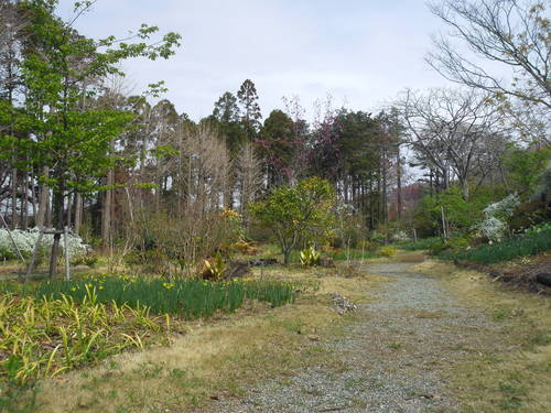 a0193762_18254335.jpg
