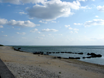b0153663_14224494.jpg