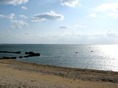 b0153663_14241619.jpg