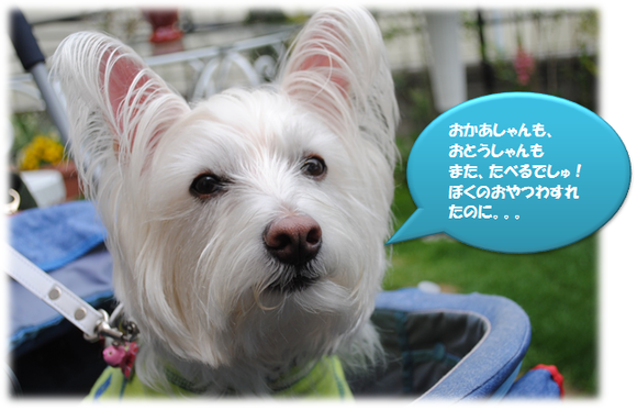 b0242873_21493097.png