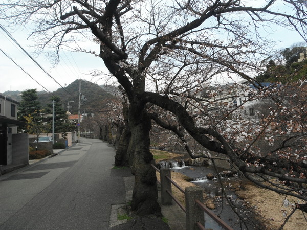 六甲山系「ロックガーデン～風吹岩～雨ヶ峠～魚屋道～有馬」_c0066176_1452245.jpg