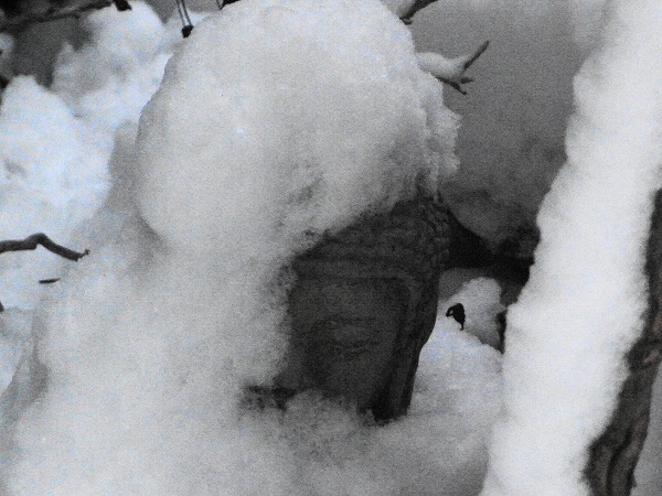 c0169179_9221926.jpg