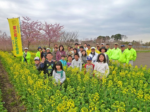 菜の花３分咲き　　　2013.03.23（土）_c0145581_17375790.jpg