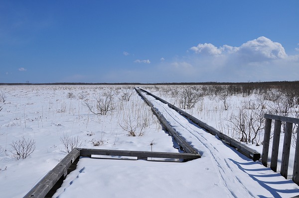 f0212586_22405690.jpg