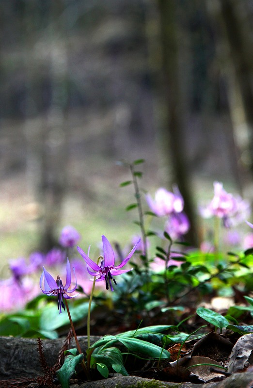 f0000789_2122401.jpg