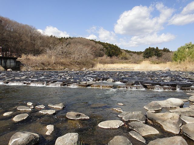 b0172805_233182.jpg