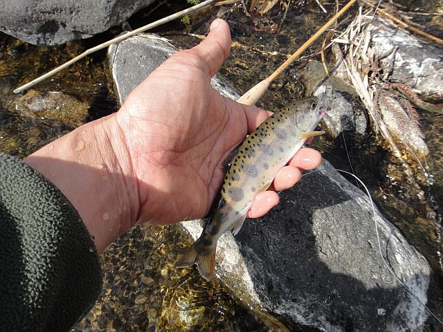 b0172805_2344088.jpg
