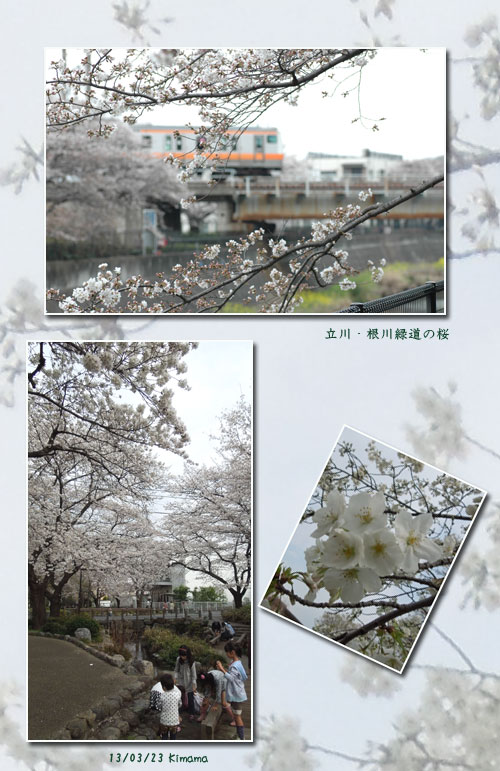 今年のお花見_c0051105_0104515.jpg