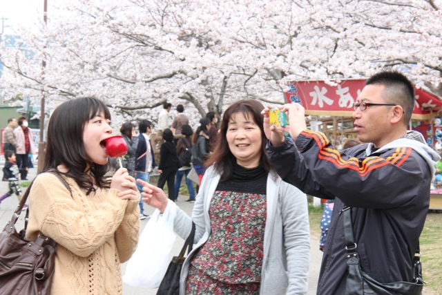 2013・３月２４日　　　城山お花見・残り物_c0067508_1752870.jpg