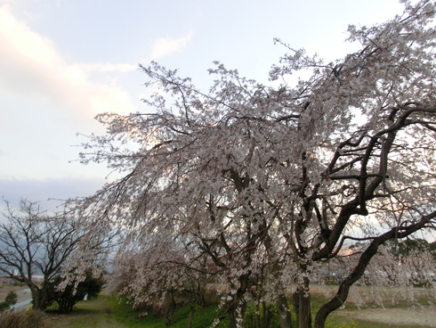 b0239909_22087.jpg