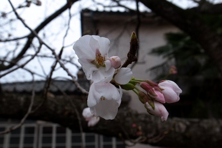 a0268412_23125756.jpg
