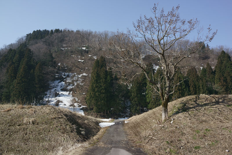 a0278914_53065.jpg