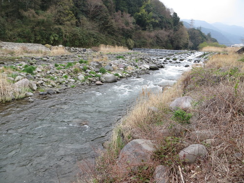 b0121015_1341279.jpg