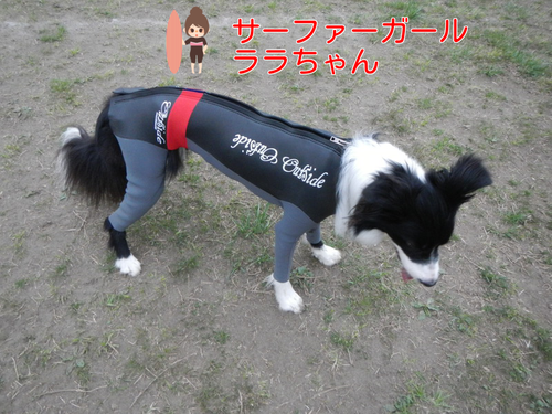 a0232619_19575917.png