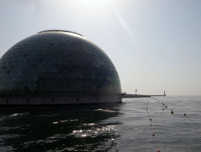 a0133220_1765321.jpg