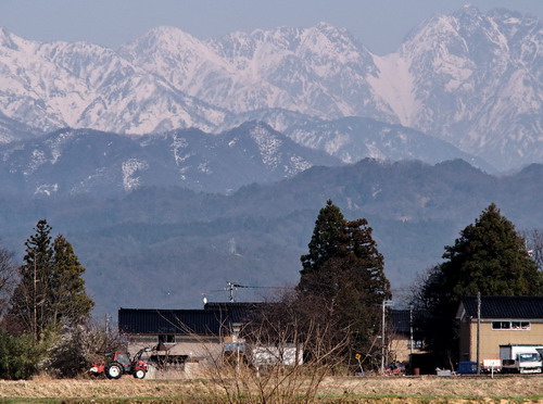 20130324　越中の散歩道：ギフチョウなど_d0090322_055279.jpg