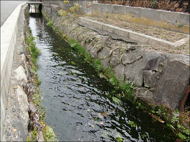 e0234924_15391736.jpg