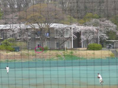 専修大対明治大 3月23日 オープン戦・前半_b0166128_992992.jpg