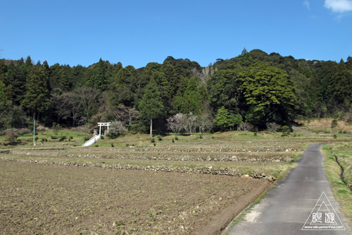 315 八雲村 ~どぜう撮影~_c0211532_173127.jpg