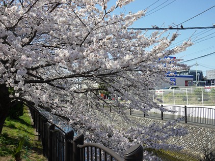 f0232136_9463216.jpg