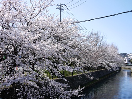 f0232136_9463431.jpg