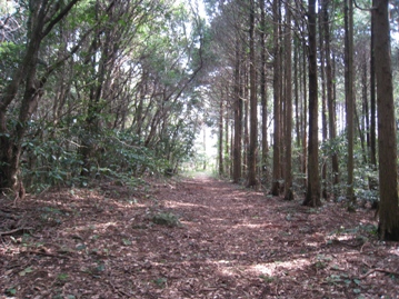 青春１８きっぷ１８回目　長崎県佐世保　烏帽子岳（５６８ｍ）～皿うどん_c0077338_6262980.jpg