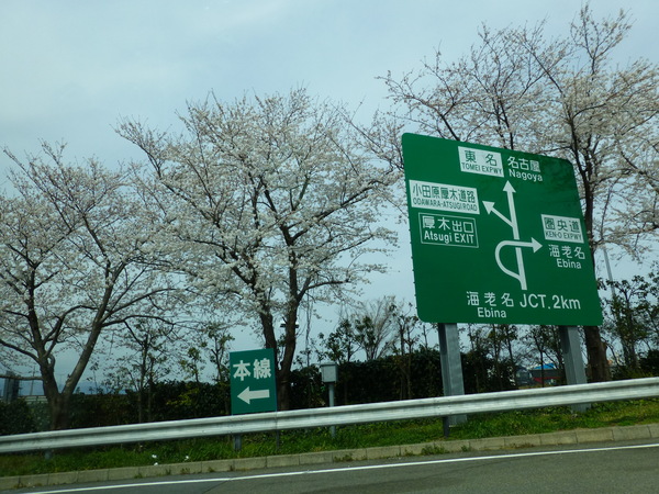 d0044239_1655348.jpg