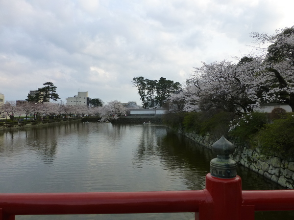 d0044239_166263.jpg