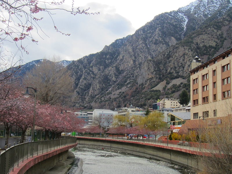 e0145739_77941.jpg
