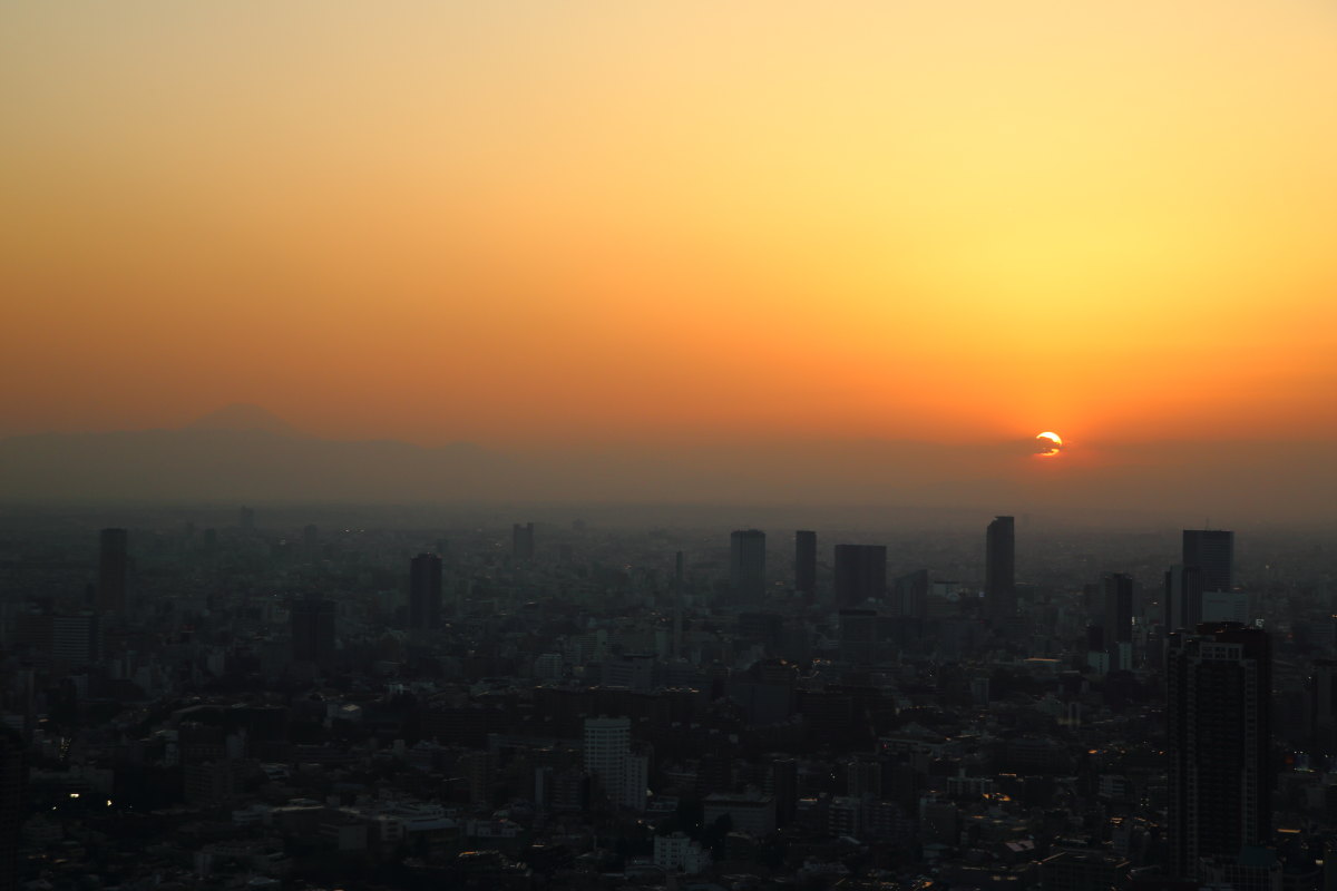 d0135242_62347.jpg